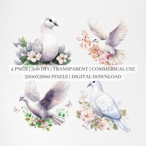 Dove Clipart, Dove PNG Files For Sublimation, Adorable Birds Clip Art, Nursery Decor, Printable Wall Art, Commercial Use