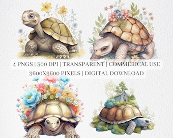 Tortoise Clipart, Tortoise PNG Files For Sublimation, Floral Tortoise Clip Art, Nursery Prints, Printable Wall Art, Commercial Use