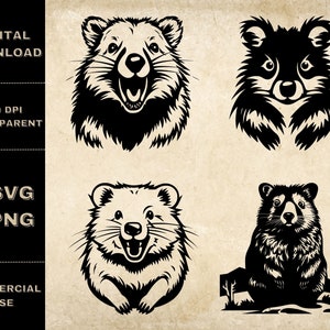 Quokka SVG Bundle, PNG, Cute Animal Clipart, Hand Drawn Australian Animal Vector Illustration, SVG Files For Laser Engraving