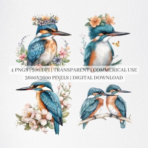 Kingfisher Clipart, Kingfisher PNG Files For Sublimation, Cute Birds Clip Art, Beautiful Bird Prints, Printable Wall Art, Commercial Use