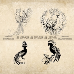Quetzal SVG Bundle, PNG, Cute Birds Clipart, Hand Drawn Quetzals Vector Illustration, SVG Files For Laser Engraving