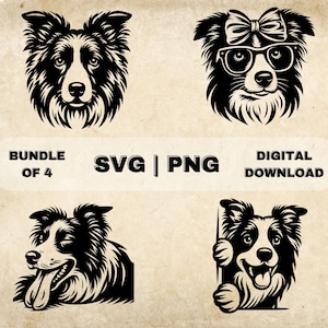 Border Collie SVG Bundle, Border Collie Clipart, Hand Drawn Dogs Theme Vector Illustration, SVG Files For Laser Engraving & Craft