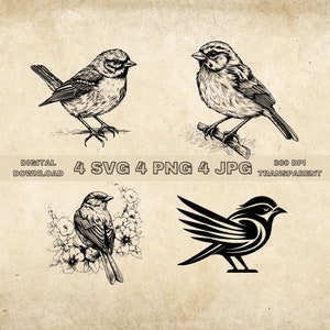 Passero SVG Bundle, PNG, Cute Birds Clipart, Illustrazione vettoriale passeri disegnati a mano, File SVG per incisione laser