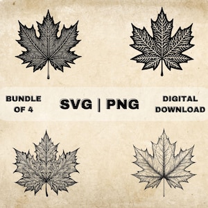 Ahornblatt SVG-Bundle, Herbst Clipart, handgezeichnete Herbst Natur Botanisches Thema Vektor-Illustration, PNG-Dateien für die Lasergravur & das Basteln