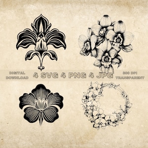 Orchid Flower SVG Bundle, PNG, Flowers Clipart, Hand Drawn Orchids Vector Graphic Illustration, SVG Files For Laser Engraving
