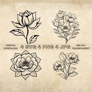 Magnolia Flower SVG Bundle, PNG, Flowers Clipart, Hand Drawn Magnolias Vector Graphic Illustration, SVG Files For Laser Engraving