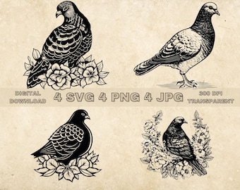 Pigeon SVG Bundle, PNG, Birds And Flowers Clipart, Hand Drawn Bird Vector Graphic Illustration, SVG Files For Laser Engraving