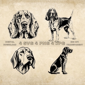 Coonhound SVG Bundle, PNG, Dogs Clipart, Hand Drawn Dog Vector Illustration, SVG Files For Laser Engraving