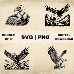 Condor SVG Bundle, Condor Clipart, Hand Drawn Bird Lover Theme Vector Illustration, PNG Files For Laser Engraving & Craft