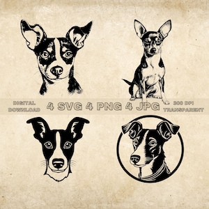 Rat Terrier SVG Bundle, PNG, Dogs Clipart, Hand Drawn Dog Vector Illustration, SVG Files For Laser Engraving