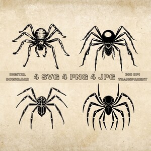 Spider SVG Bundle, PNG, Spiders Clipart, Hand Drawn Spider Vector Illustration, SVG Files For Laser Engraving