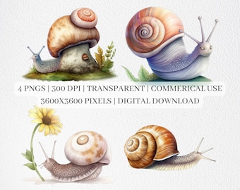 Imágenes Prediseñadas de caracol lindo, archivos PNG de caracoles para sublimación, imágenes prediseñadas de caracol, impresiones de caracol, arte de pared imprimible, uso comercial
