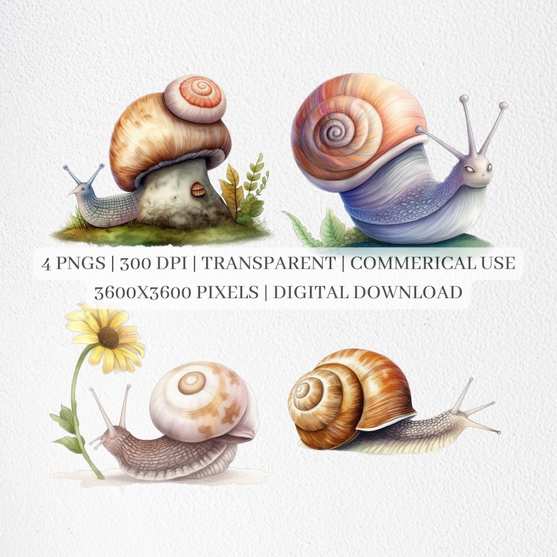 Cute Snail Clipart, Snails PNG Files for Sublimation, Snail Clip Art ...