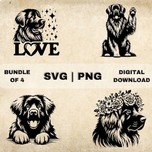 Leonberger SVG Bundle, Leonberger Clipart, Hand Drawn Dog Theme Vector Illustration, SVG Files For Laser Engraving & Craft