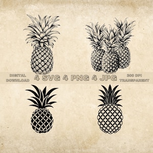 Pineapple SVG Bundle, PNG, Pineapple Clipart, Hand Drawn Pineapples Vector Graphic Illustration, SVG Files For Laser Engraving