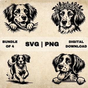 Brittany Spaniel SVG Bundle, Cute Dog Clipart, Hand Drawn Dog Theme Vector Illustration, SVG Files For Laser Engraving & Craft