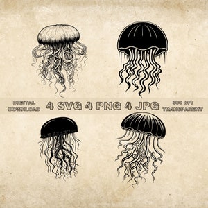 Jellyfish SVG Bundle, PNG, Sea Animals Clipart, Hand Drawn Jellyfish Vector Illustration, SVG Files For Laser Engraving