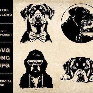Rottweiler SVG Bundle, PNG, Cool Dog Clipart, Hand Drawn Peeking Dog Vector Illustration, SVG Files For Laser Engraving