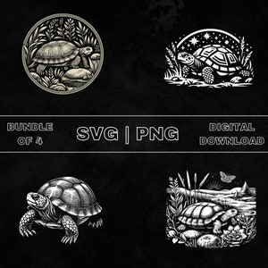 Box Turtle SVG Bundle, Box Turtle Clipart, Hand Drawn Box Turtle Theme Vector Illustration, PNG Files For Laser Engraving & Craft