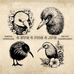 Kiwi Bird SVG Bundle, PNG, Birds Clipart, Hand Drawn Cute Bird Vector Illustration, SVG Files For Laser Engraving