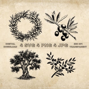 Olive SVG Bundle, PNG, Olive Branch And Tree Clipart, Hand Drawn Olives Vector Illustration, SVG Files For Laser Engraving