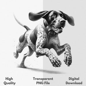 May include: Black and white illustration of a dog running. The dog is a pointer breed with a spotted coat. The dog is running with its mouth open and its tongue out.