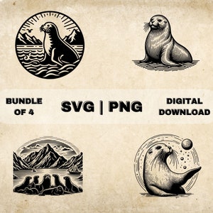 Seal SVG Bundle, Seal Clipart, Hand Drawn Ocean Animal Theme Vector Illustration, PNG Files For Laser Engraving & Craft