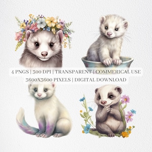 Cute Ferret Clipart, Ferret PNG Files For Sublimation, Ferrets Clip Art, Ferret Prints, Printable Wall Art, Commercial Use