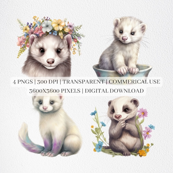 Cute Ferret Clipart, Ferret PNG Files For Sublimation, Ferrets Clip Art, Ferret Prints, Printable Wall Art, Commercial Use