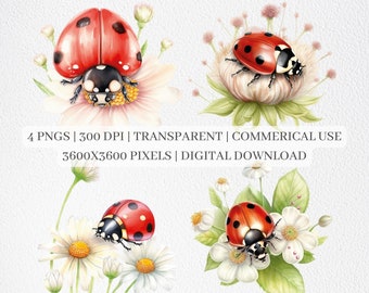 Ladybug Clipart, Ladybug PNG, Cute Bugs And Flowers Clip Art, Nursery Wall Art, Graphic Design, Sublimation, Commercial Use