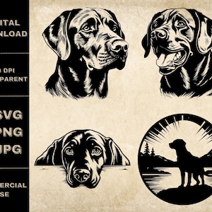 Labrador SVG Bundle, PNG, Labrador Head Clipart, Hand Drawn Peeking Dog Vector Illustration, SVG Files For Laser Engraving