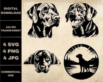 Labrador SVG Bundle, PNG, Labrador Head Clipart, Hand Drawn Peeking Dog Vector Illustration, SVG Files For Laser Engraving
