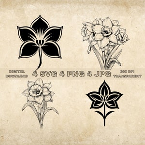 Narcissus SVG Bundle, PNG, Floral Clipart, Hand Drawn Flowers Graphic Illustration, SVG Files For Laser Engraving