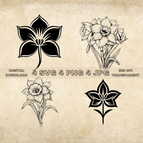 Narcisse SVG Bundle, PNG, Clipart Floral, Illustration graphique de fleurs dessinées à la main, fichiers SVG pour la gravure au Laser