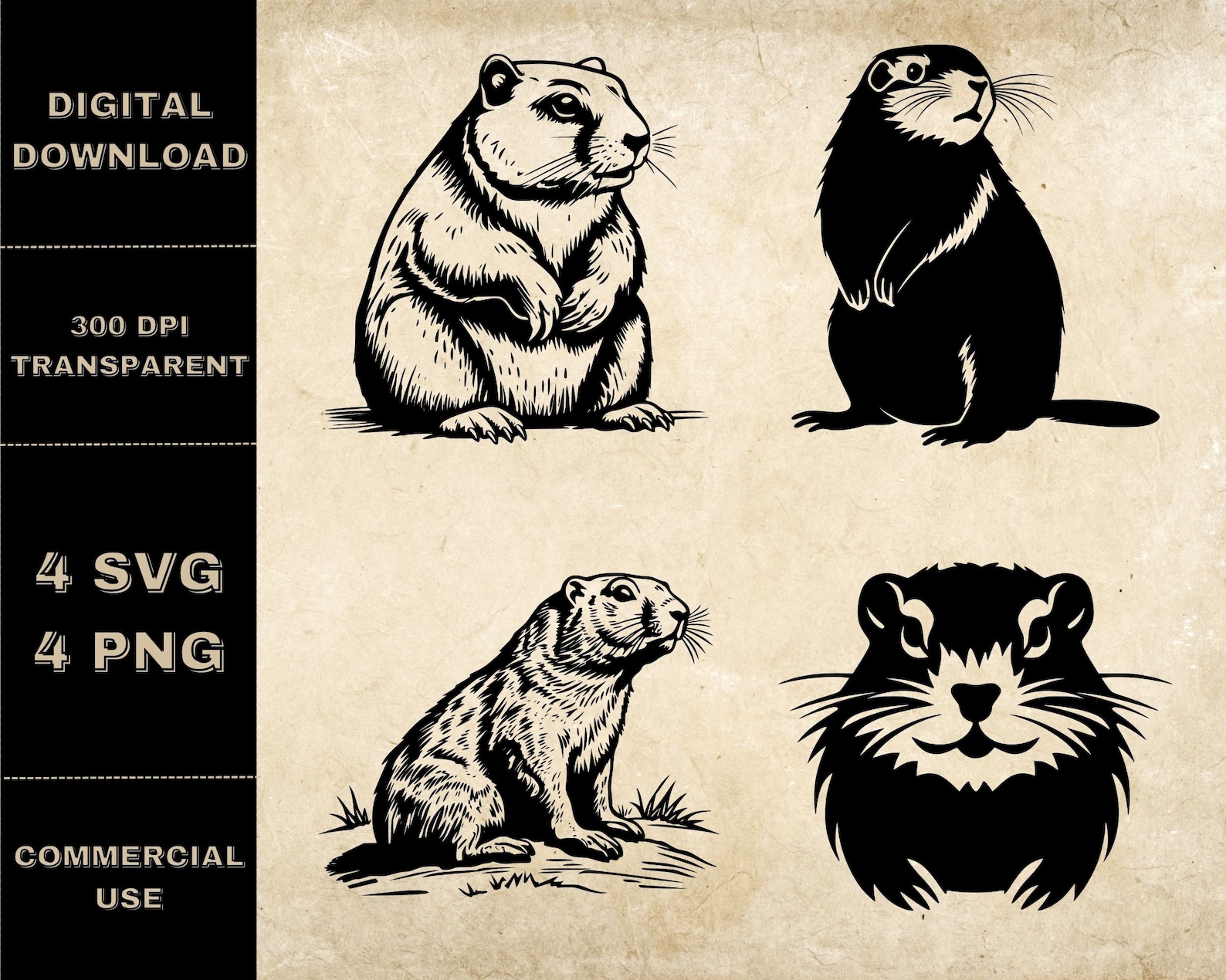 Gopher SVG Bundle PNG Gopher Clipart Hand Drawn Gopher Etsy