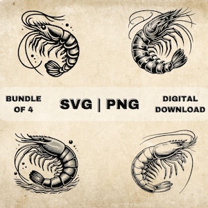 Shrimp SVG Bundle, Seafood Clipart, Hand Drawn Sea Life Ocean Theme Vector Illustration, PNG Files For Laser Engraving & Craft