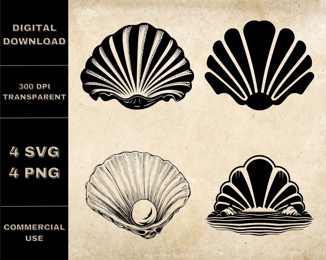 Clam SVG Bundle, PNG, Seashell Clipart, Hand Drawn Sea Shell Vector