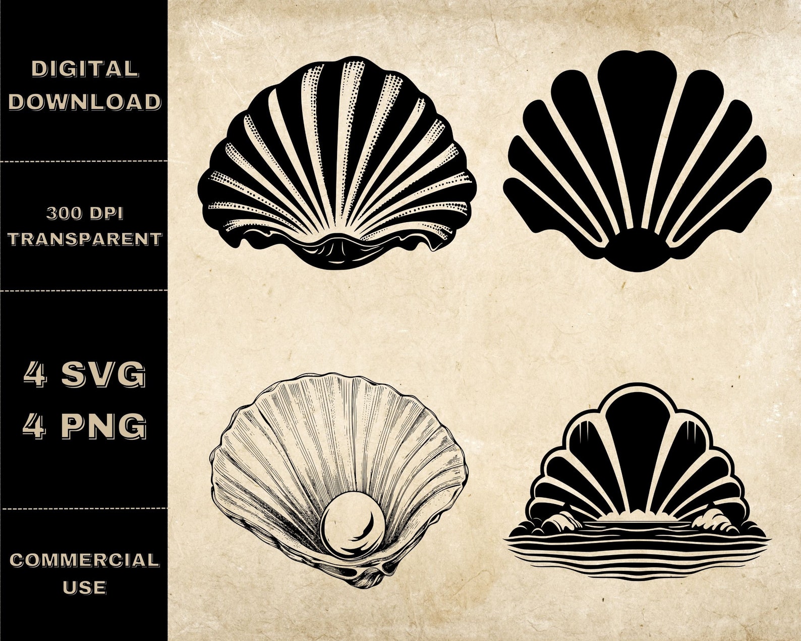 Clam SVG Bundle PNG Seashell Clipart Hand Drawn Sea Shell - Etsy