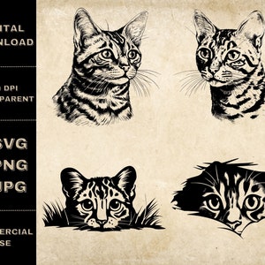 Bengal Cat Peeking SVG Bundle, PNG, Bengal Cat Clipart, Hand Drawn Cat Peek Vector Illustration, SVG Files For Laser Engraving