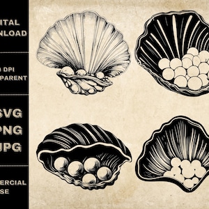 Clam With Pearl SVG Bundle, PNG, Clam Clipart, Hand Drawn Sea Shells Vector Illustration, SVG Files For Laser Engraving