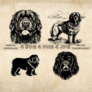 Newfoundland SVG Bundle, PNG, Dogs Clipart, Hand Drawn Dog Vector Illustration, SVG Files For Laser Engraving