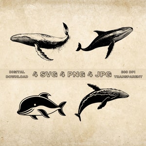 Paquete SVG de ballena, PNG, imágenes prediseñadas de animales marinos, ilustración vectorial de ballenas dibujadas a mano, archivos SVG para grabado láser