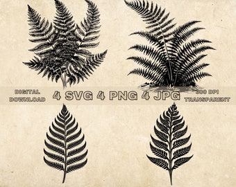 Fern SVG Bundle, PNG, Leaf Clipart, Hand Drawn Ferns Leaves Graphic Illustration, SVG Files For Laser Engraving