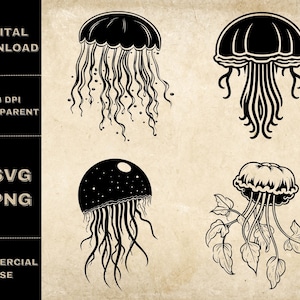 Jellyfish SVG Bundle, PNG, Floral Jelly Fish Clipart, Hand Drawn Jellyfish Vector Illustration, SVG Files For Laser Engraving