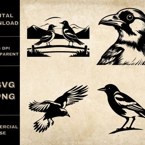 Magpie SVG Bundle, PNG, Birds Clipart, Illustration vectorielle d’oiseau dessinée à la main, fichiers SVG pour la gravure laser