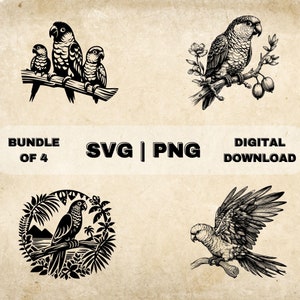 Conure SVG Bundle, Parrot Clipart, Hand Drawn Conure Bird Theme Vector Illustration, PNG Files For Laser Engraving & Craft