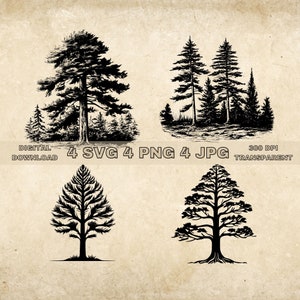 Pacchetto SVG dell'albero di pino, PNG, Clipart degli alberi di pino, illustrazione grafica vettoriale dell'albero disegnato a mano, file SVG per l'incisione laser