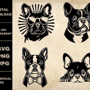 Französische Bulldogge SVG Bundle, PNG, süße Frenchie Clipart, handgezeichnete Spähhund Vektor Illustration, SVG-Dateien für Lasergravur