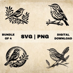 Könnte beinhalten: Ein Satz von vier Schwarzweißillustrationen eines Vogels, der auf einem Ast sitzt. Die Illustrationen sind im Vintage-Stil gehalten und eignen sich perfekt für eine Vielzahl von Projekten, wie z. B. Scrapbooking, Kartenherstellung oder digitales Design.