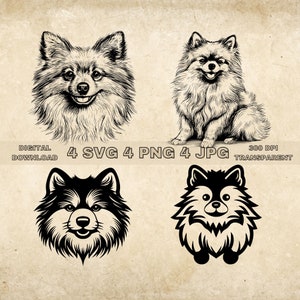 Pomeranian SVG Bundle, PNG, Cute Dogs Clipart, Hand Drawn Dog Vector Illustration, SVG Files For Laser Engraving